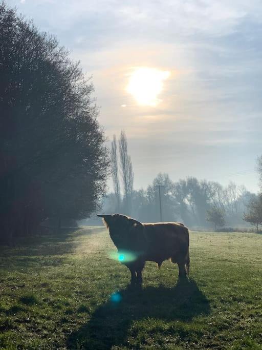 Photo of Others in Hethel