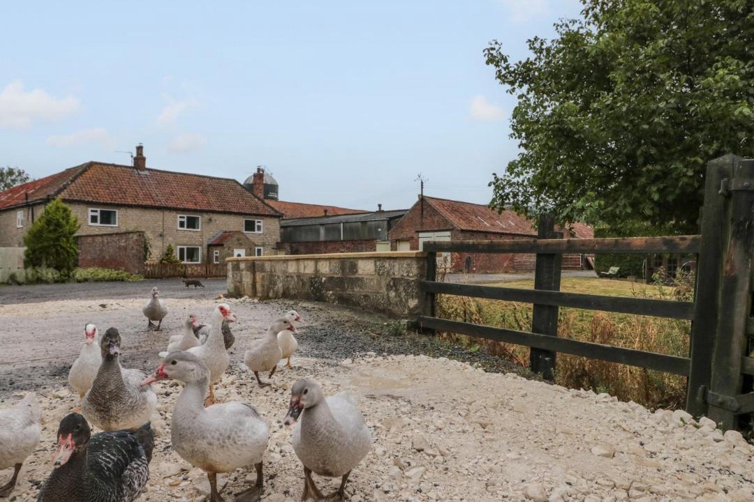 Photo of Others in Malton