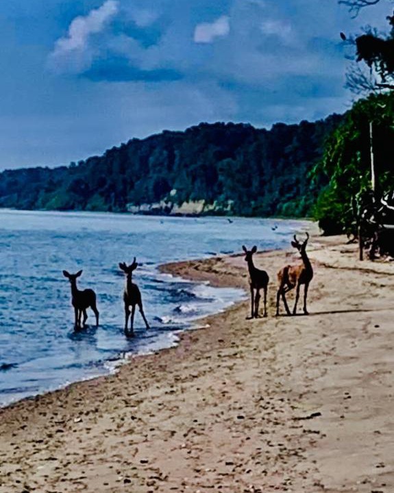 Photo of Others in Port Republic