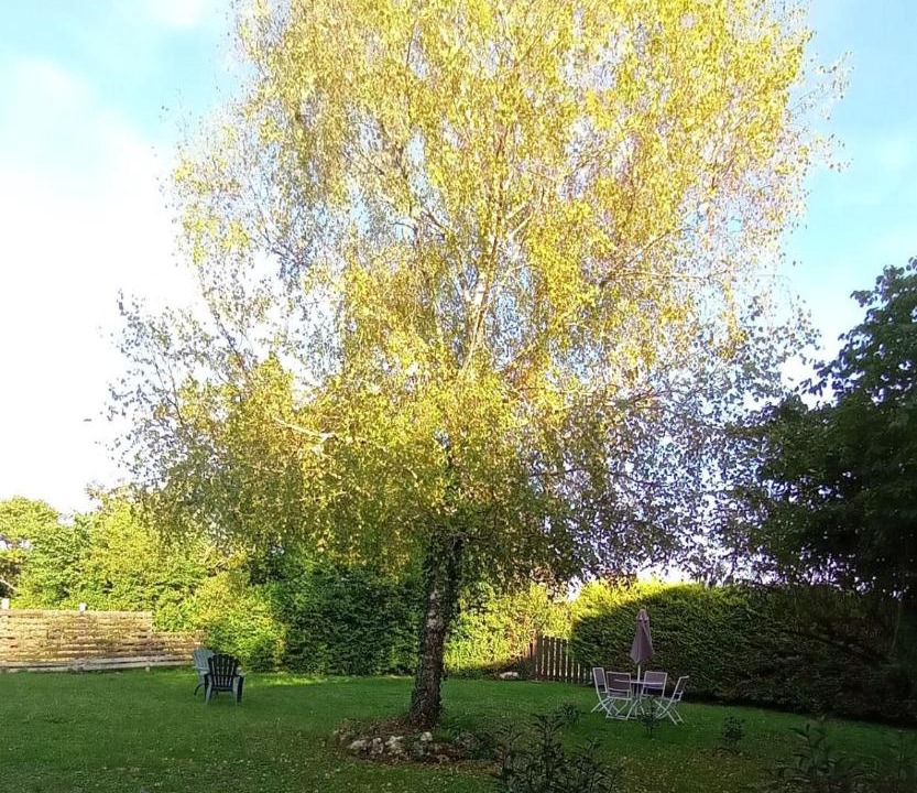 Photo of Others in Riberac