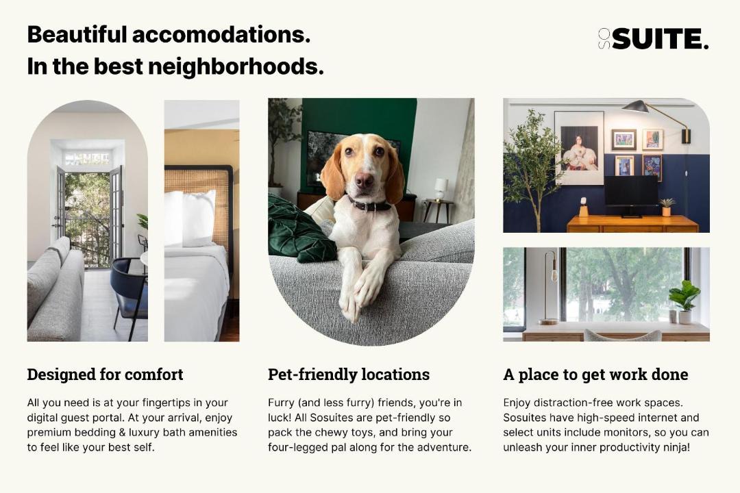 Photo of Others in Chinatown