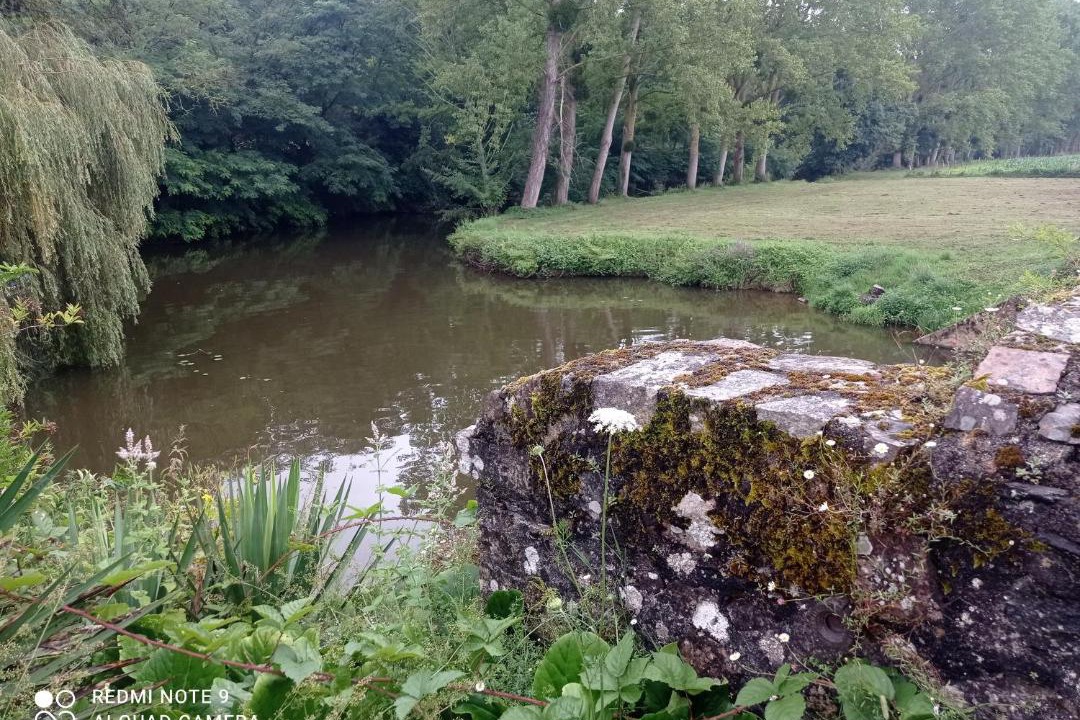 Photo of Others in Nyoiseau