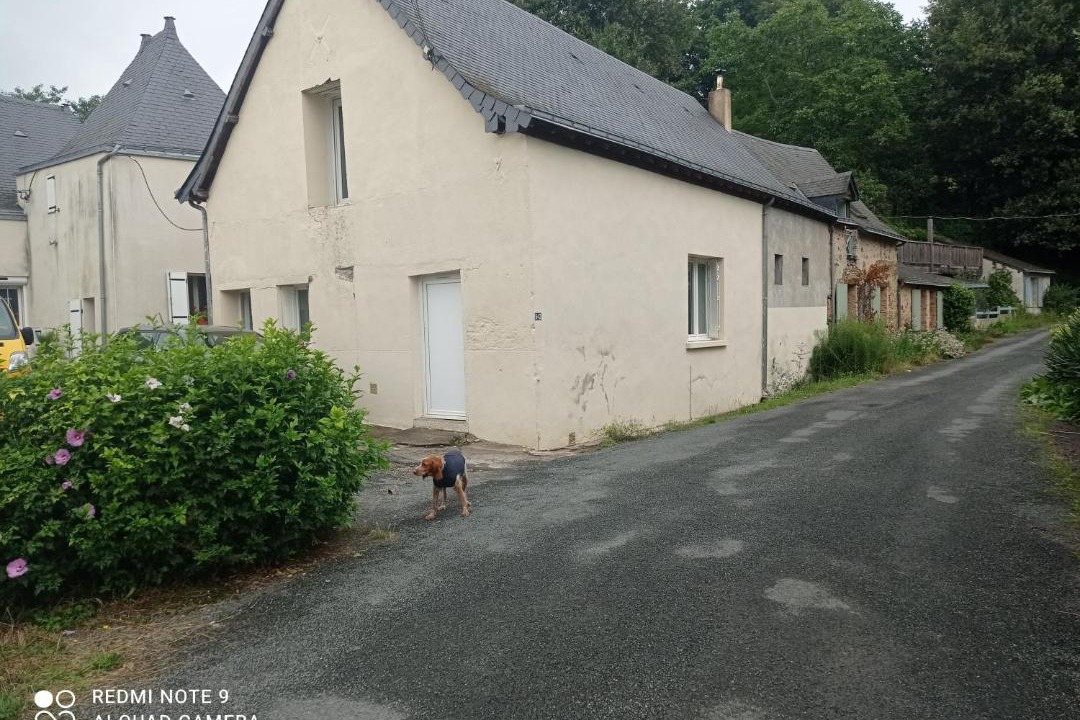 Photo of Others in Nyoiseau