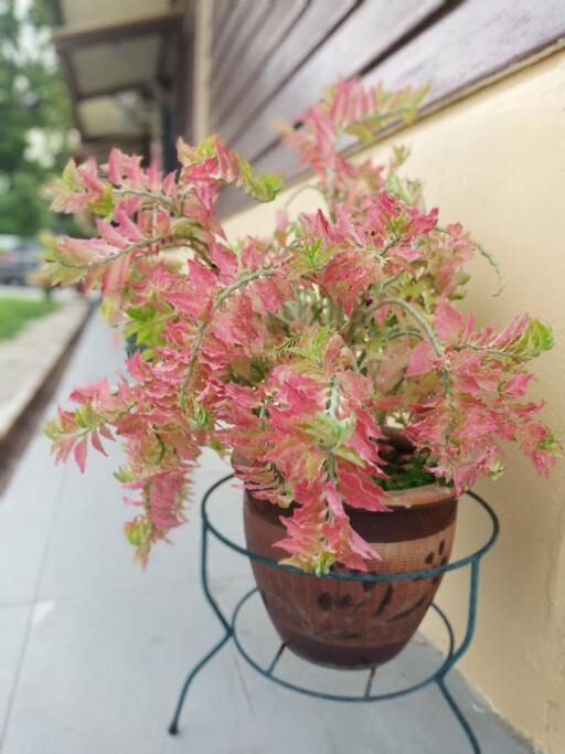 Photo of Others in Guntong