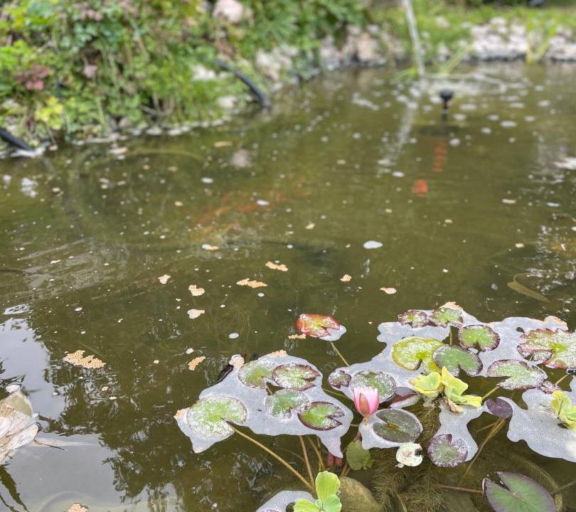 Photo of Others in Ecourt-Saint-Quentin