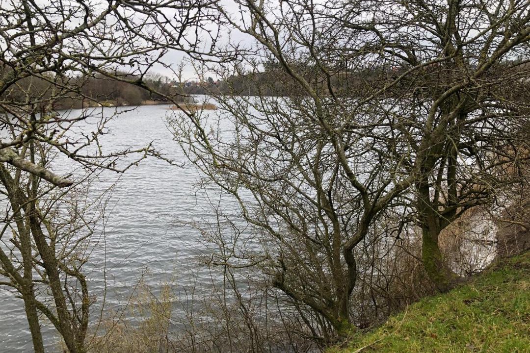 Photo of Others in Aalborg