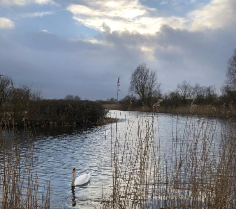 Photo of Others in Aalborg