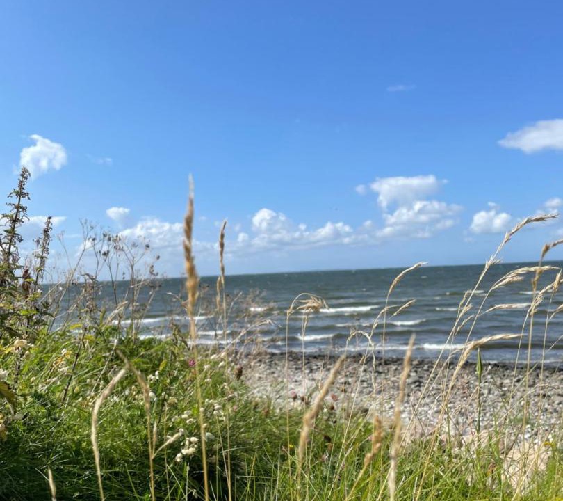 Photo of Others in Aalborg