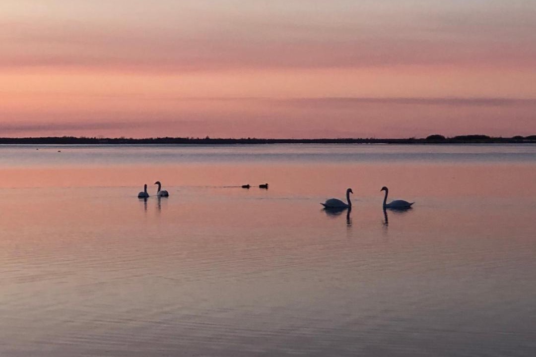 Photo of Others in Aalborg