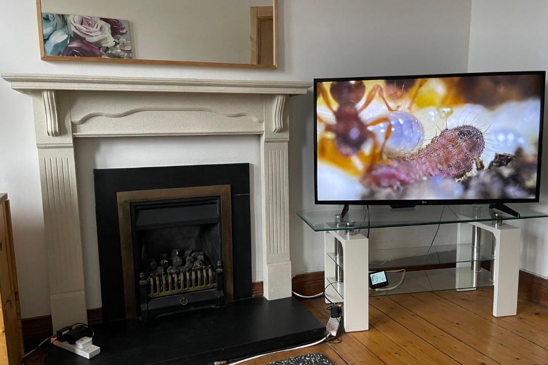 Photo of Livingroom in Whiteinch