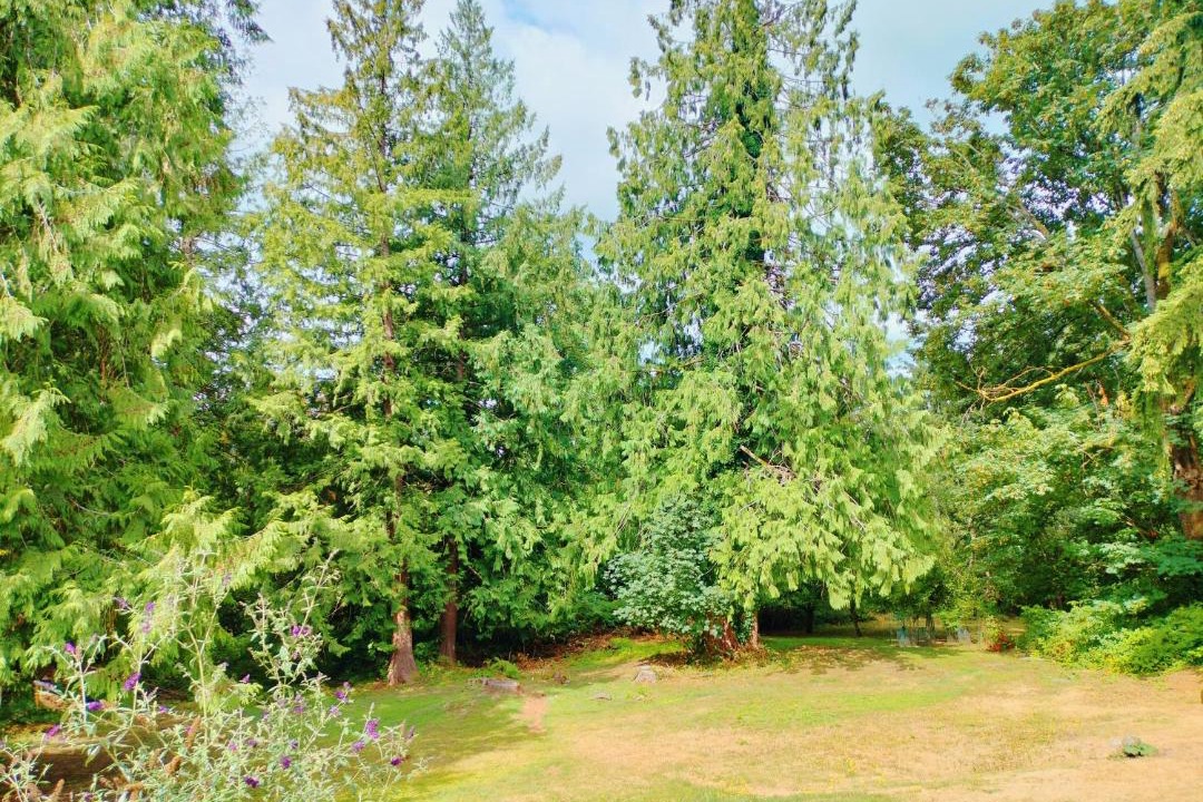 Photo of Outdoor in Issaquah