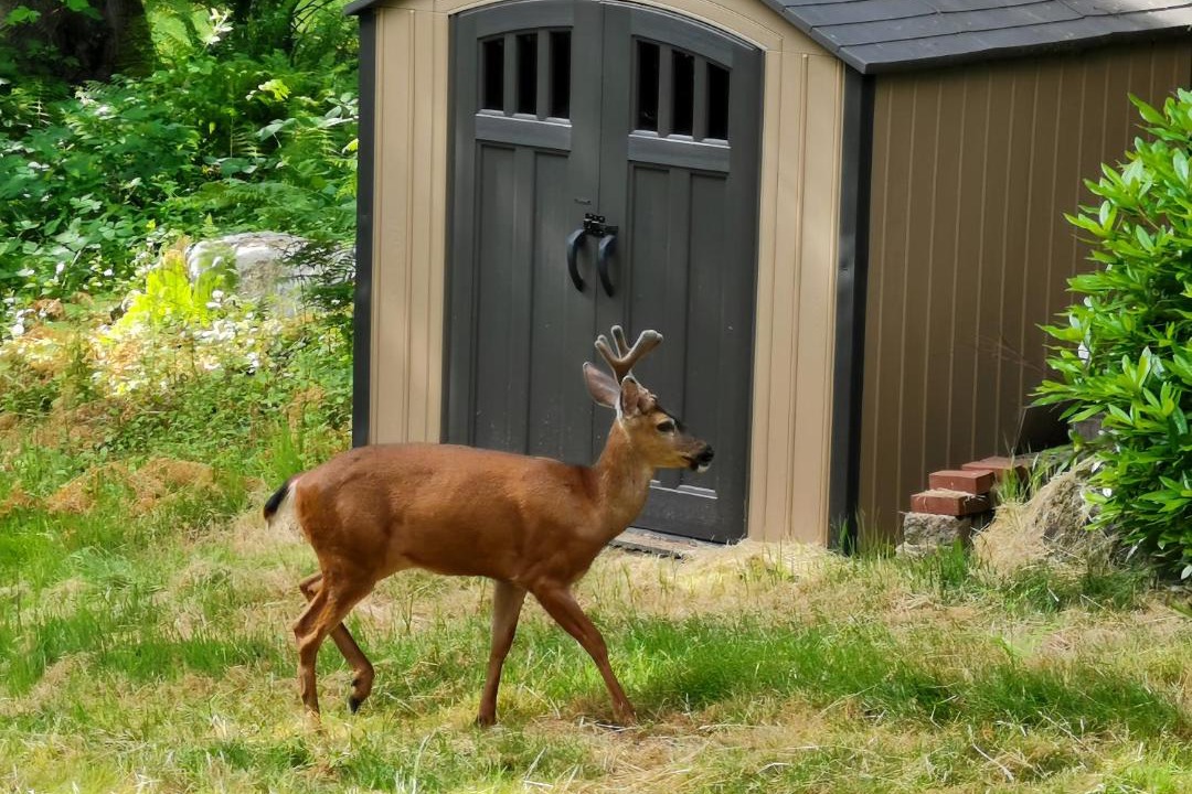 Photo of Others in Issaquah