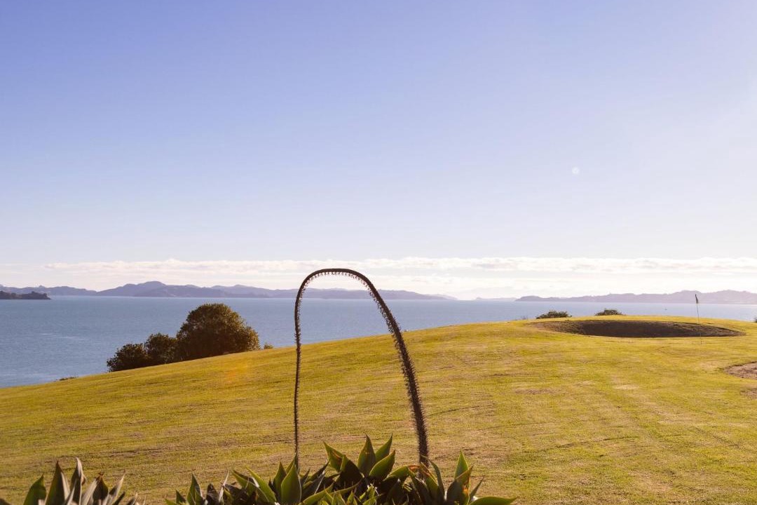 Photo of Others in Clevedon