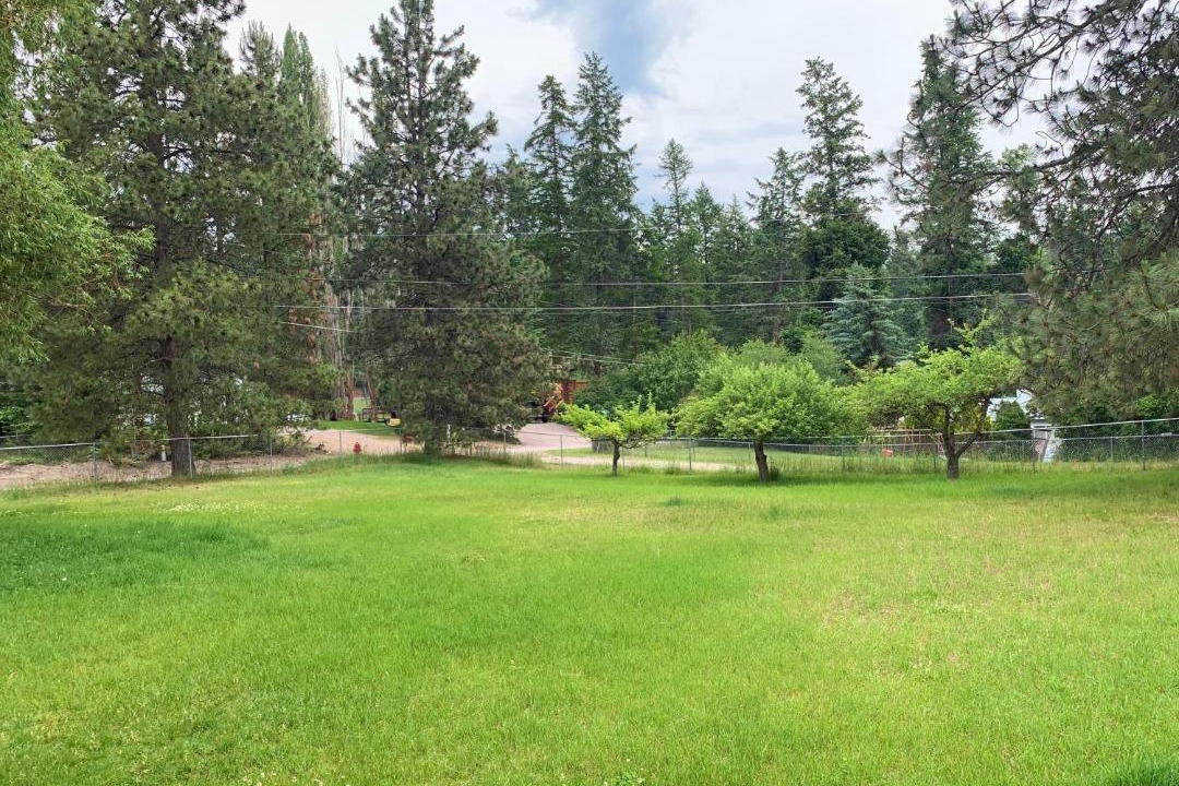 Photo of Others in Woods Bay