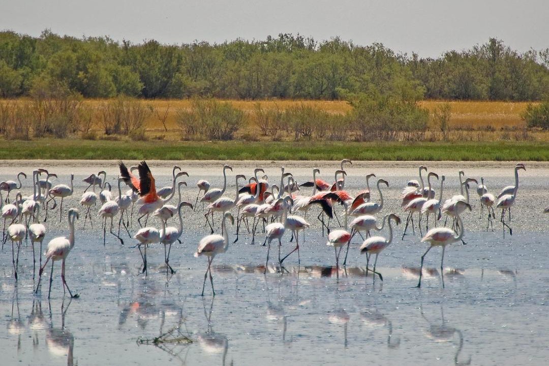 Photo of Others in Villacanas