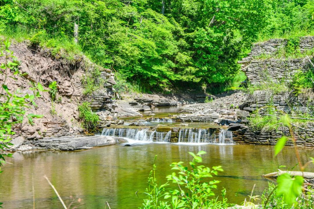 Photo of Others in Mount Upton