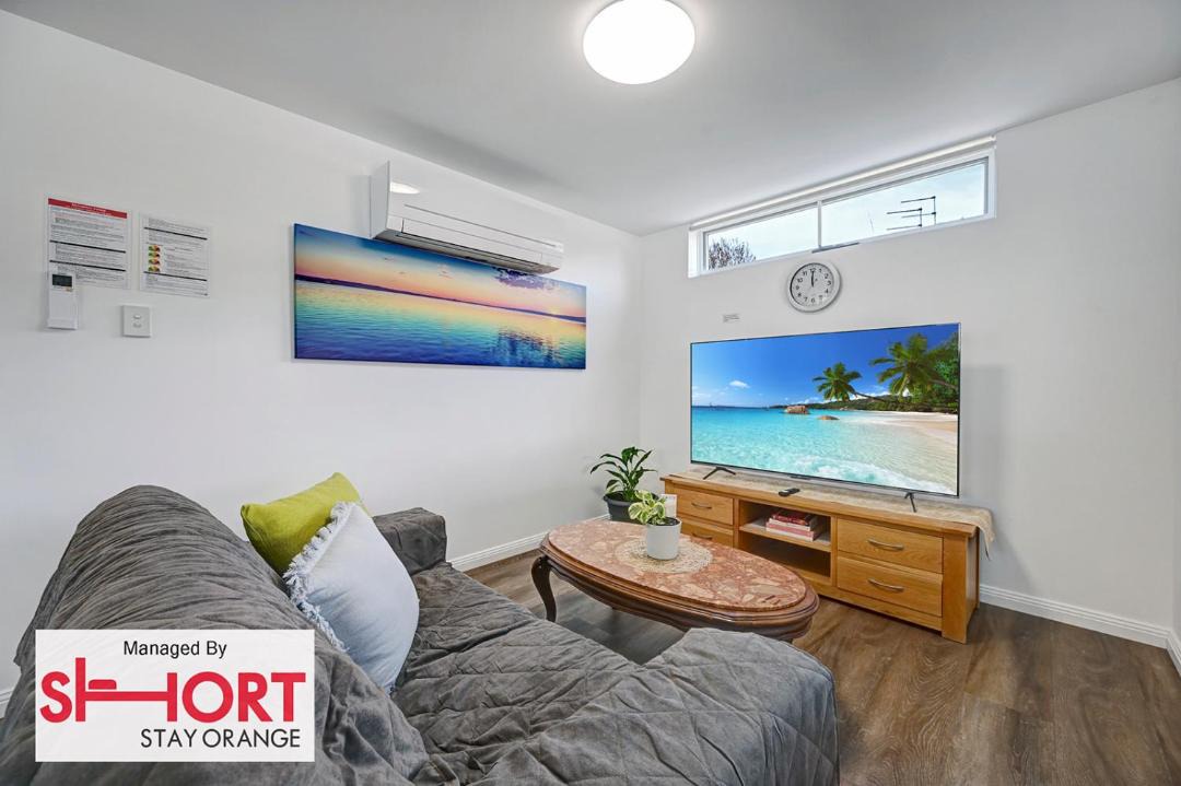 Photo of Others in Orange