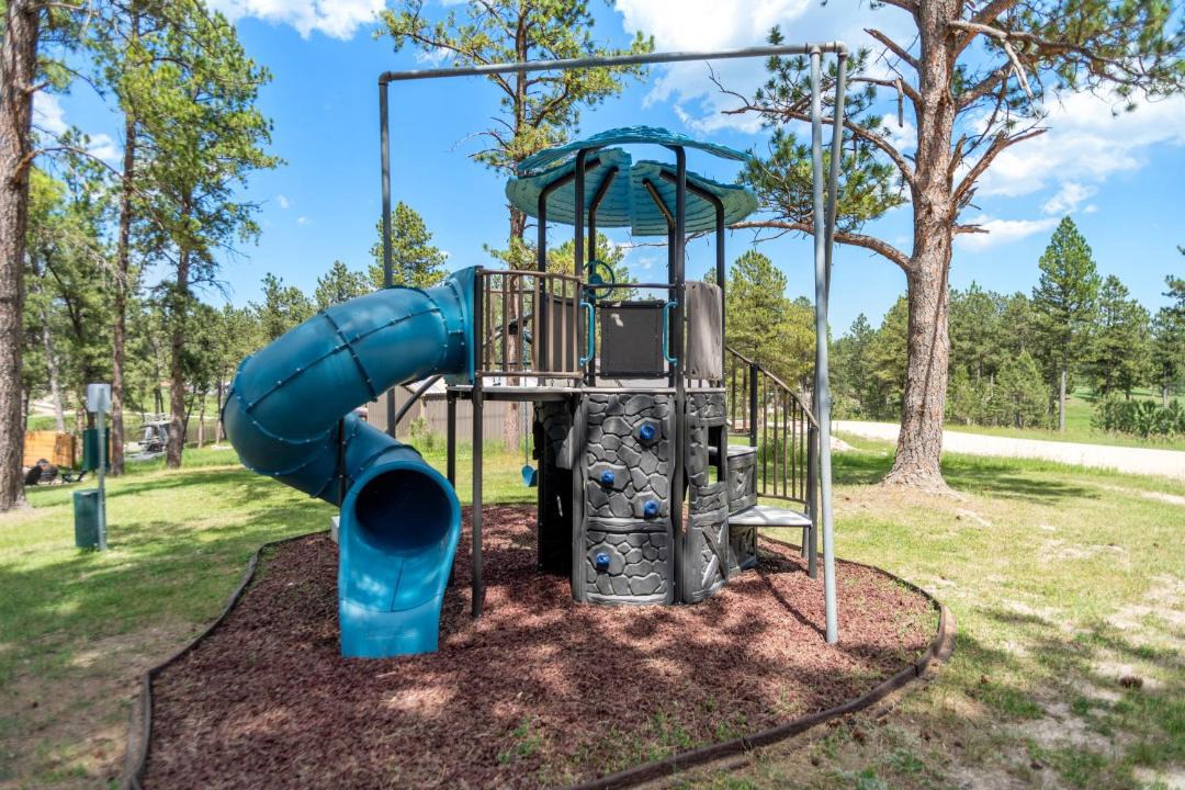 Photo of Others in Custer