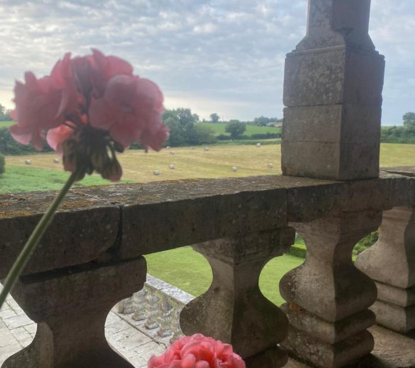 Photo of Others in Surin