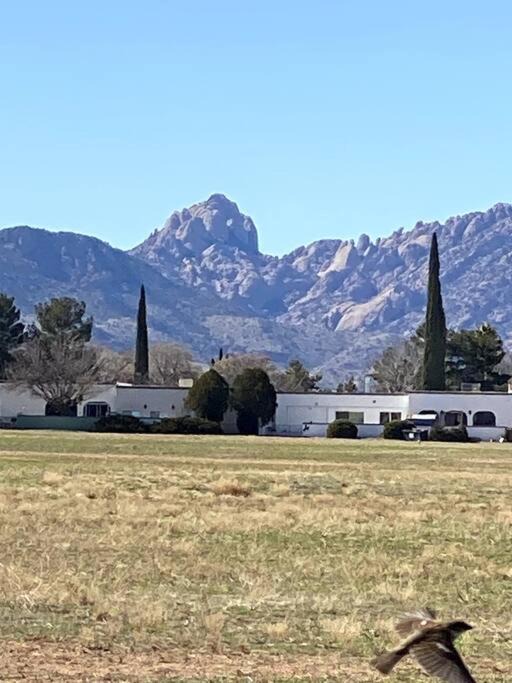 Photo of Others in Pearce
