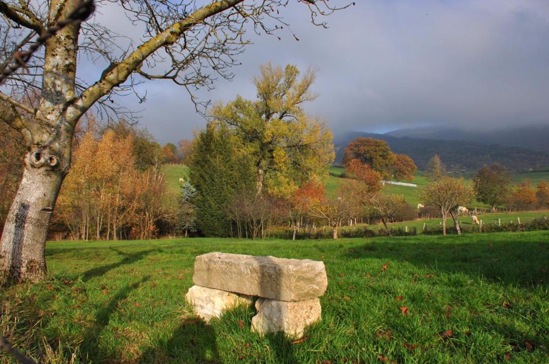 Photo of Others in Treffort-Cuisiat