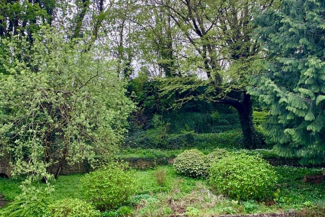 Photo of Others in East Horrington