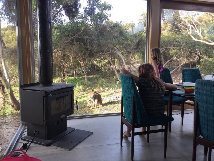 Photo of Others in Newland