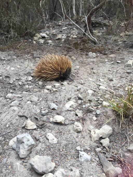 Photo of Outdoor in Newland