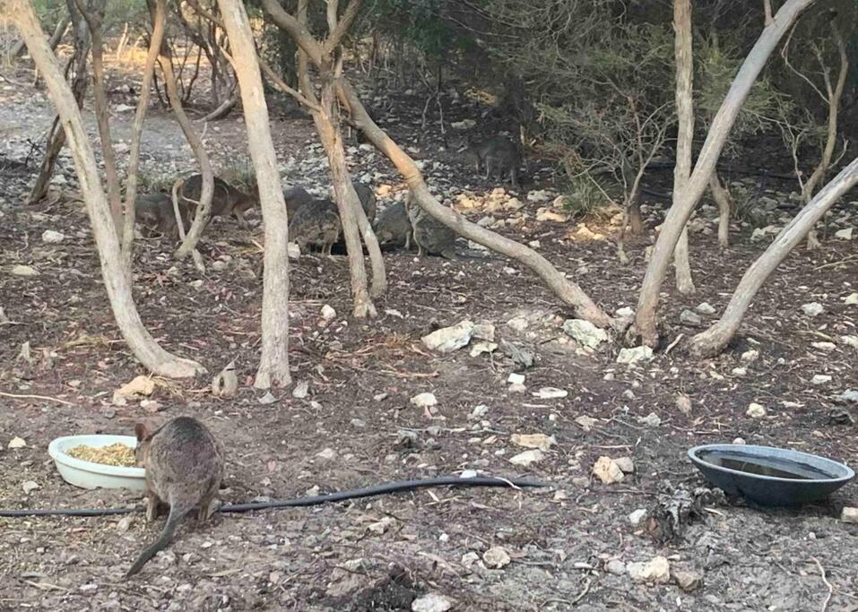 Photo of Others in Newland