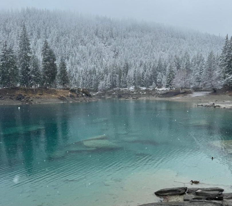 Photo of Others in Laax