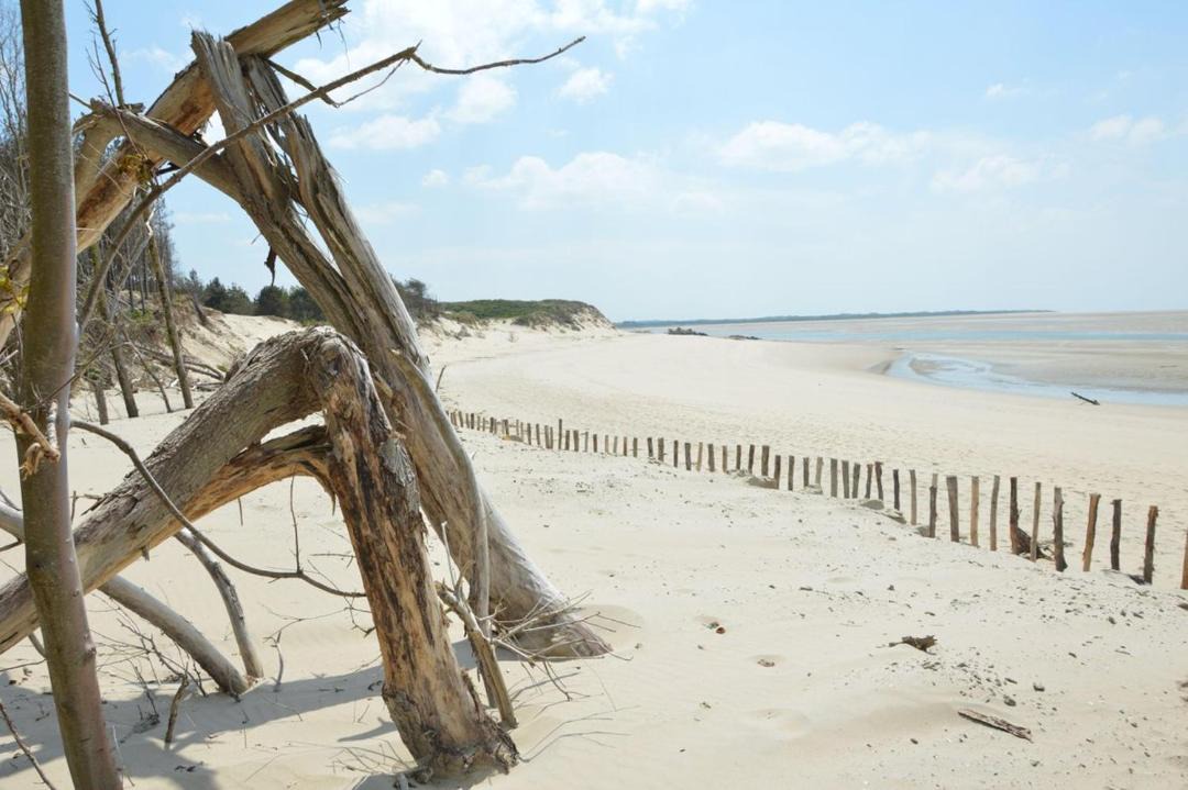 Photo of Others in Berck-sur-Mer