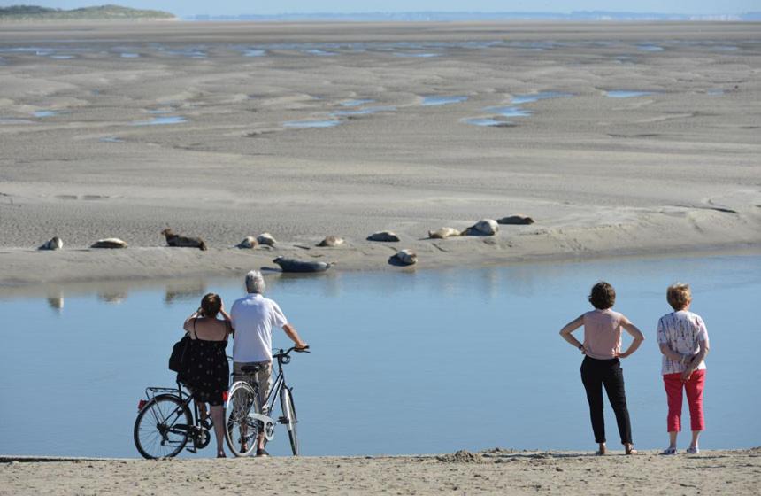 Photo of Human In Picture in Berck-sur-Mer