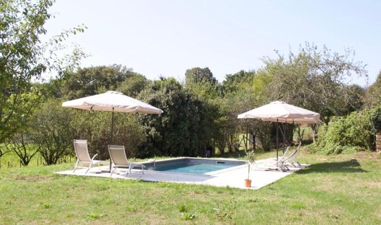 Photo of Others in Paunat