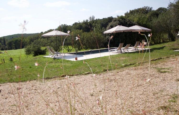 Photo of Others in Paunat