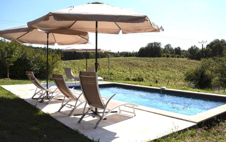 Photo of Others in Paunat