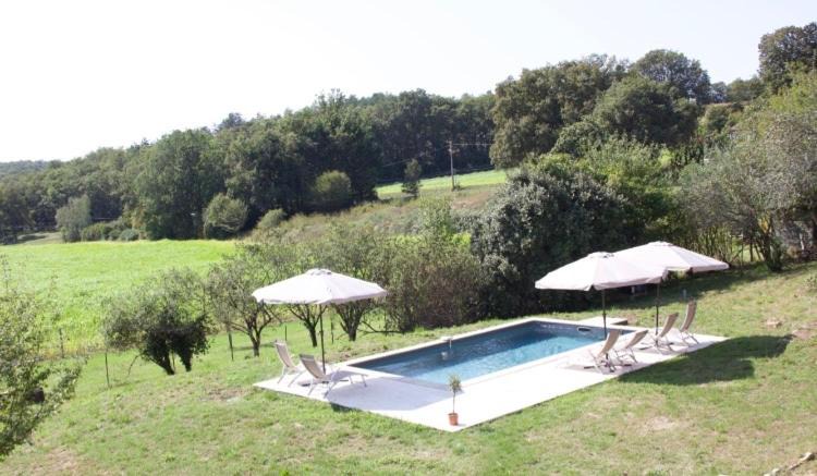 Photo of Others in Paunat