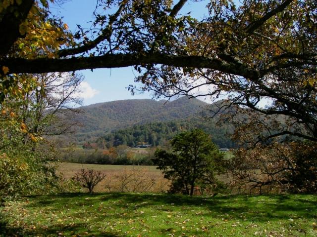 Photo of Others in Dillard