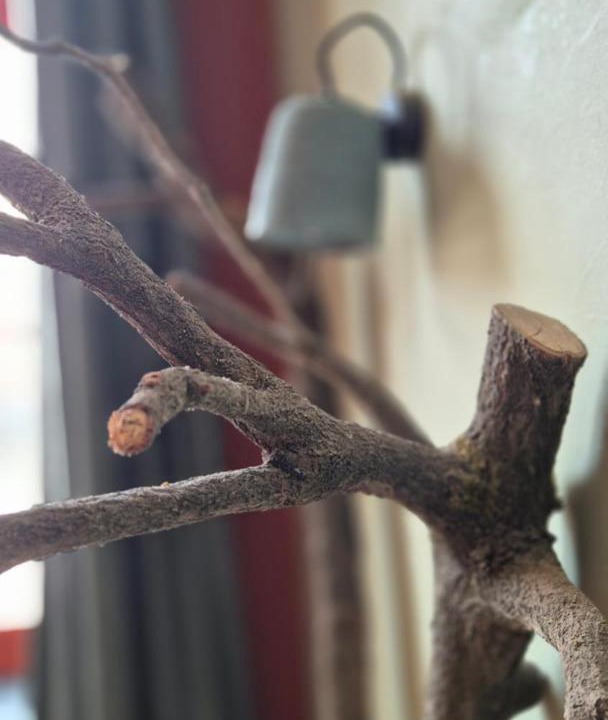 Photo of Others in Aubigny-en-Artois