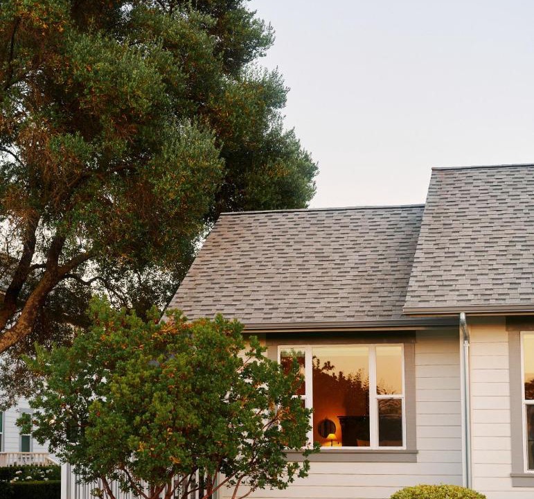 Photo of Others in Napa