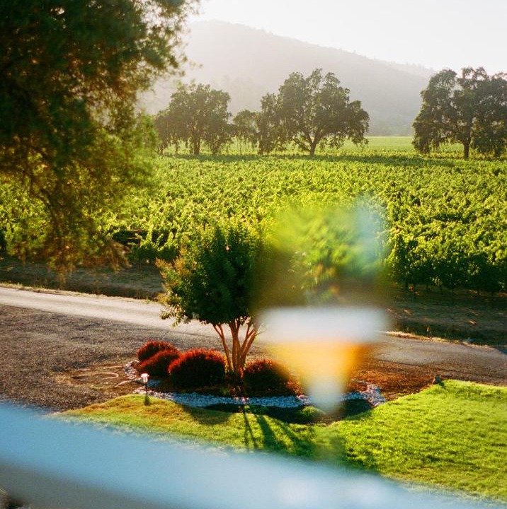 Photo of Others in Napa