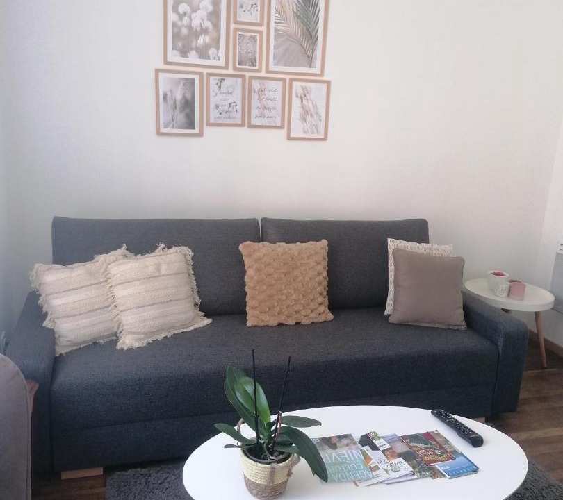 Photo of Livingroom in Luzy