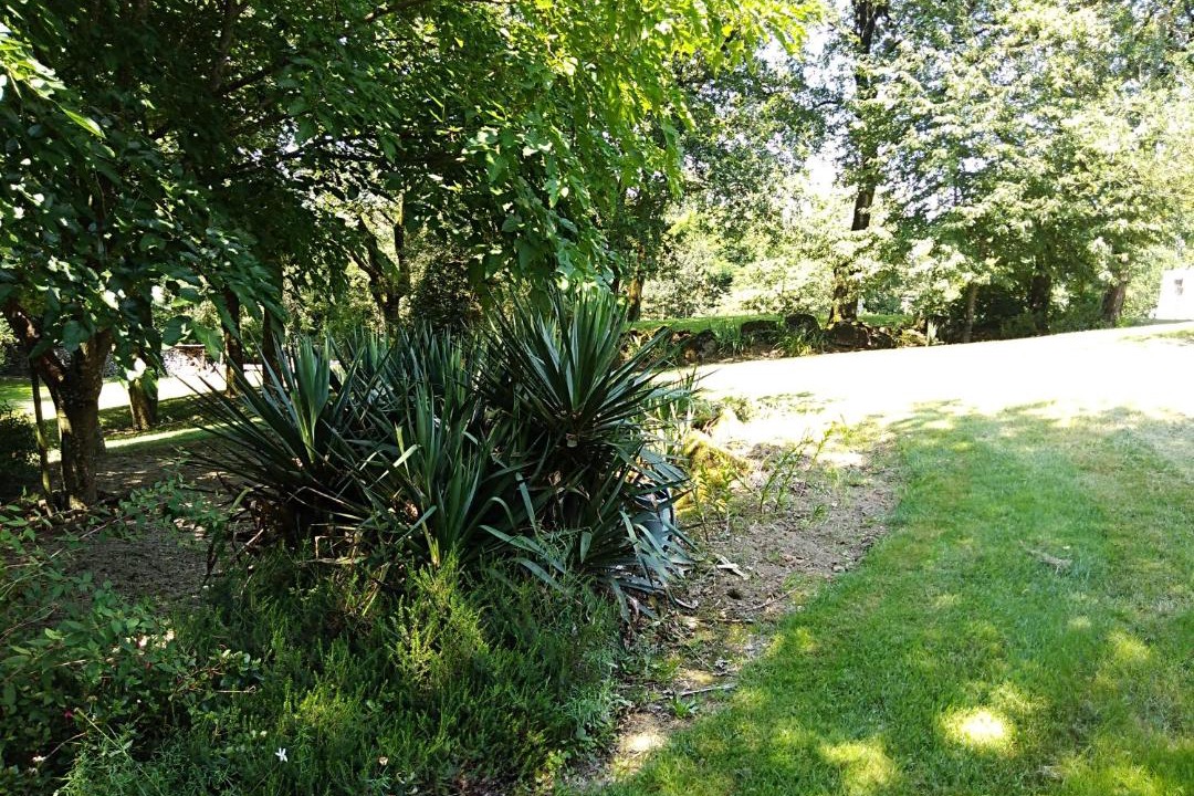 Photo of Outdoor in Les Epesses