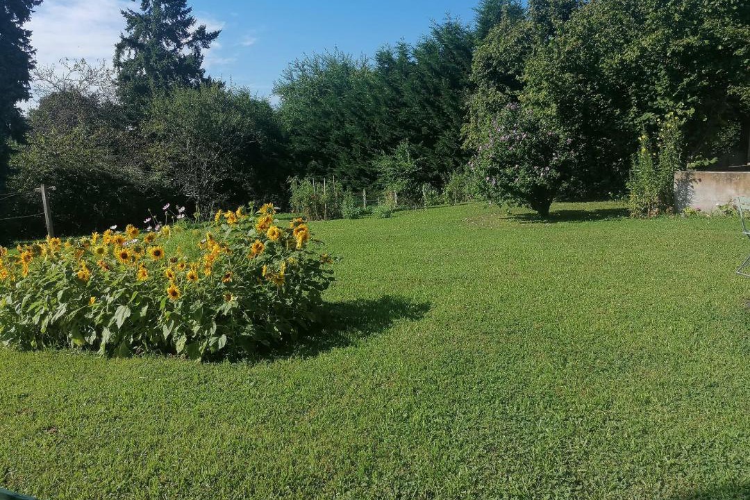 Photo of Others in Luzy