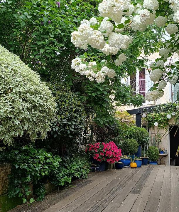 Photo of Others in Pons