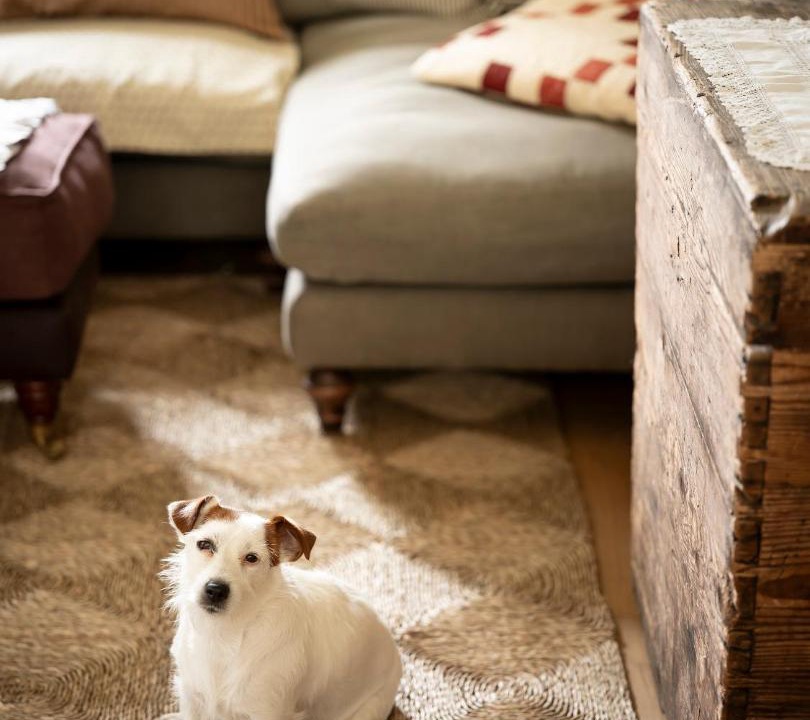 Photo of Livingroom in Reading