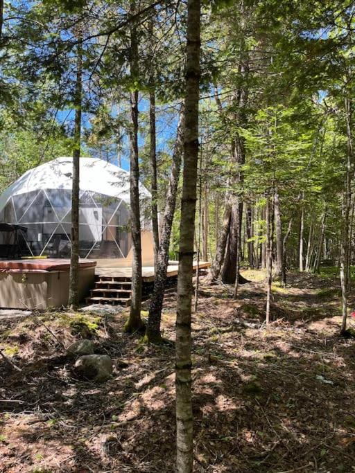 Photo of Others in New Maryland