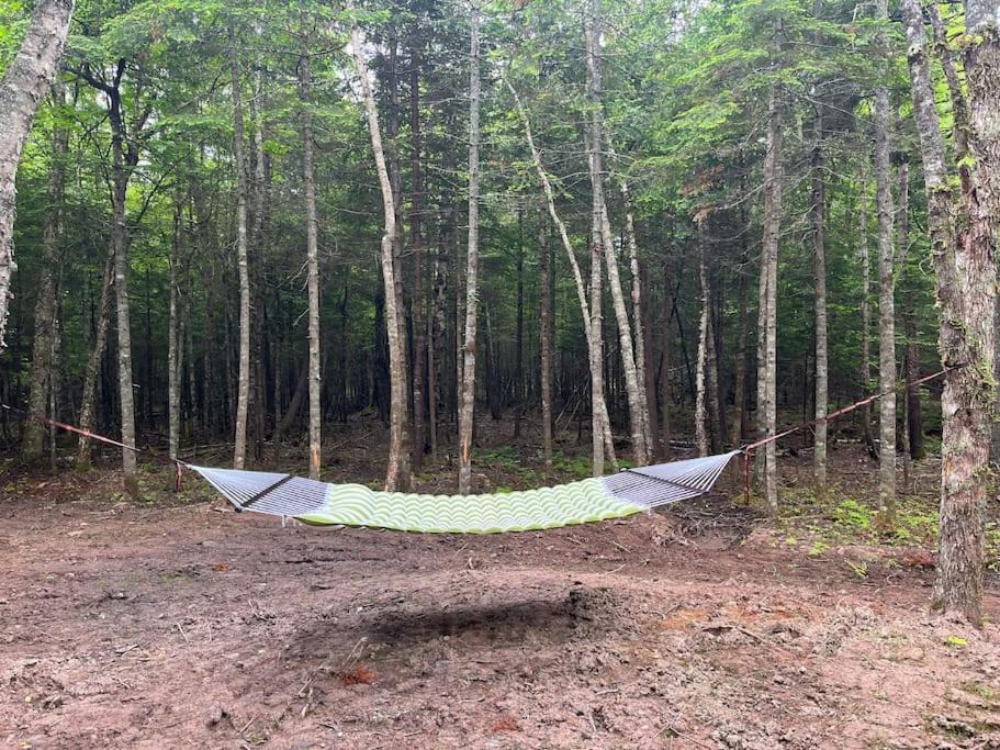 Photo of Outdoor in New Maryland