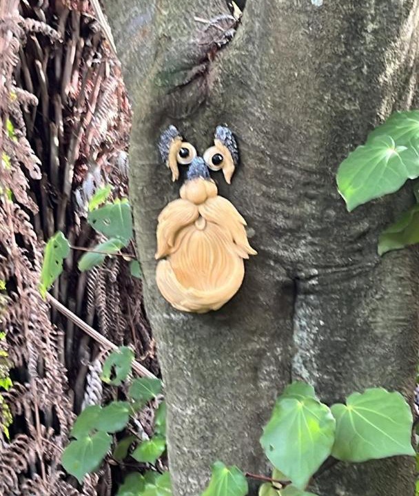 Photo of Others in Welcome Bay