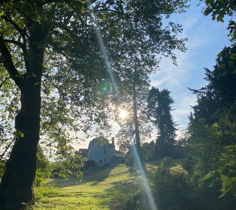 Photo of Others in Surin