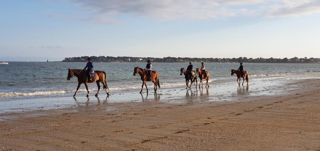 Photo of Others in Pornichet